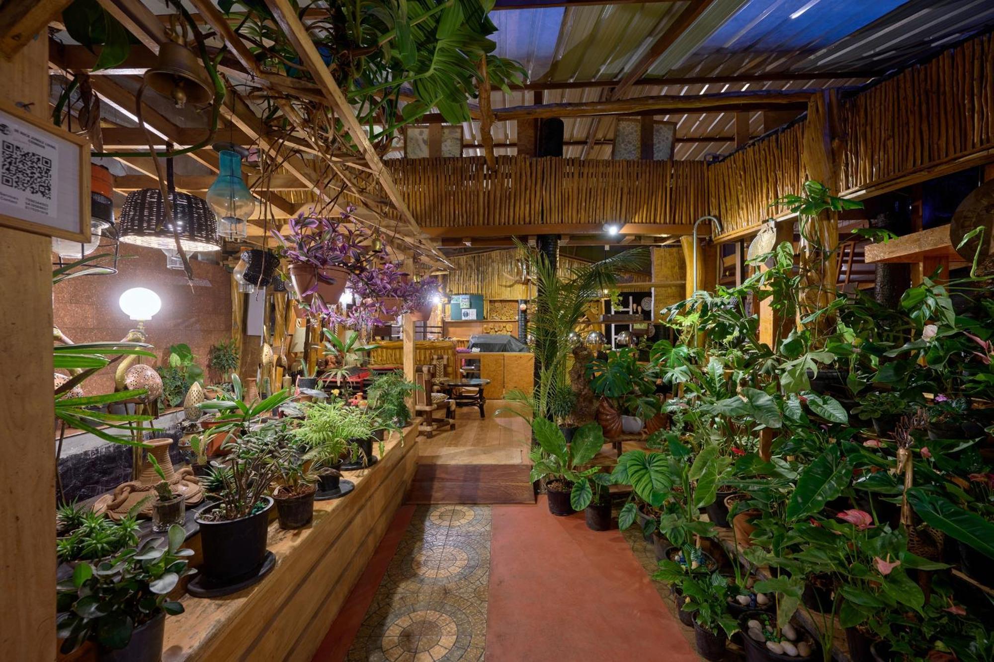 De Rock Jungle Living Resort Кунур Екстериор снимка
